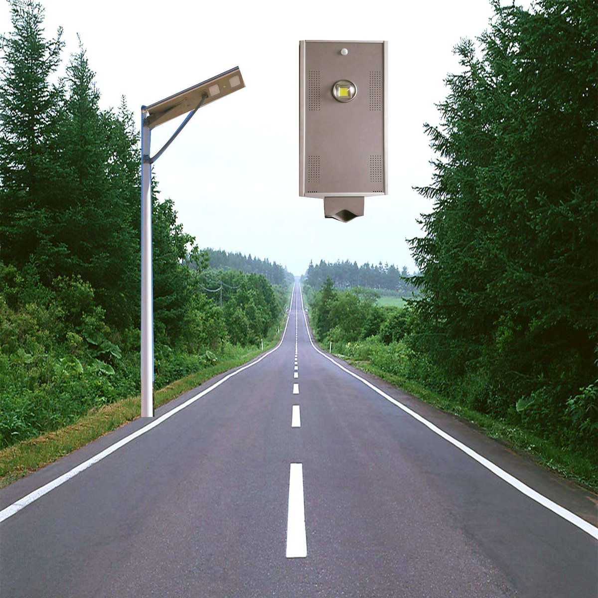 DikeSolar's tweet image. #NewProfilePic