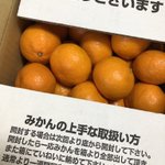 ミカンの箱を開けたら…なぜかダメ出しを食らってしまった件!
