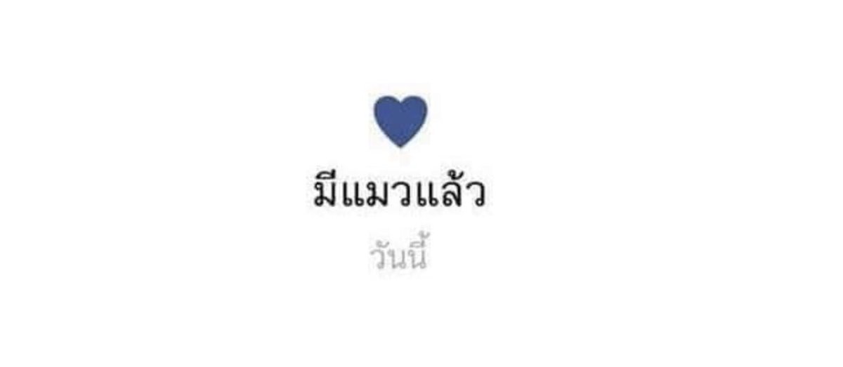 เปเป้ ʕ⁰̈ʕ⁰̈ʔ ⁼³ tweet media