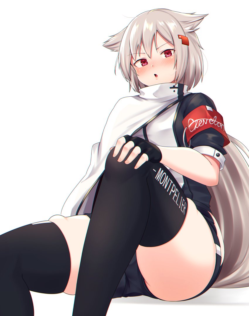 モントピリア塗り 