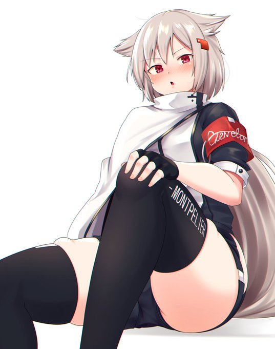 モントピリア塗り 