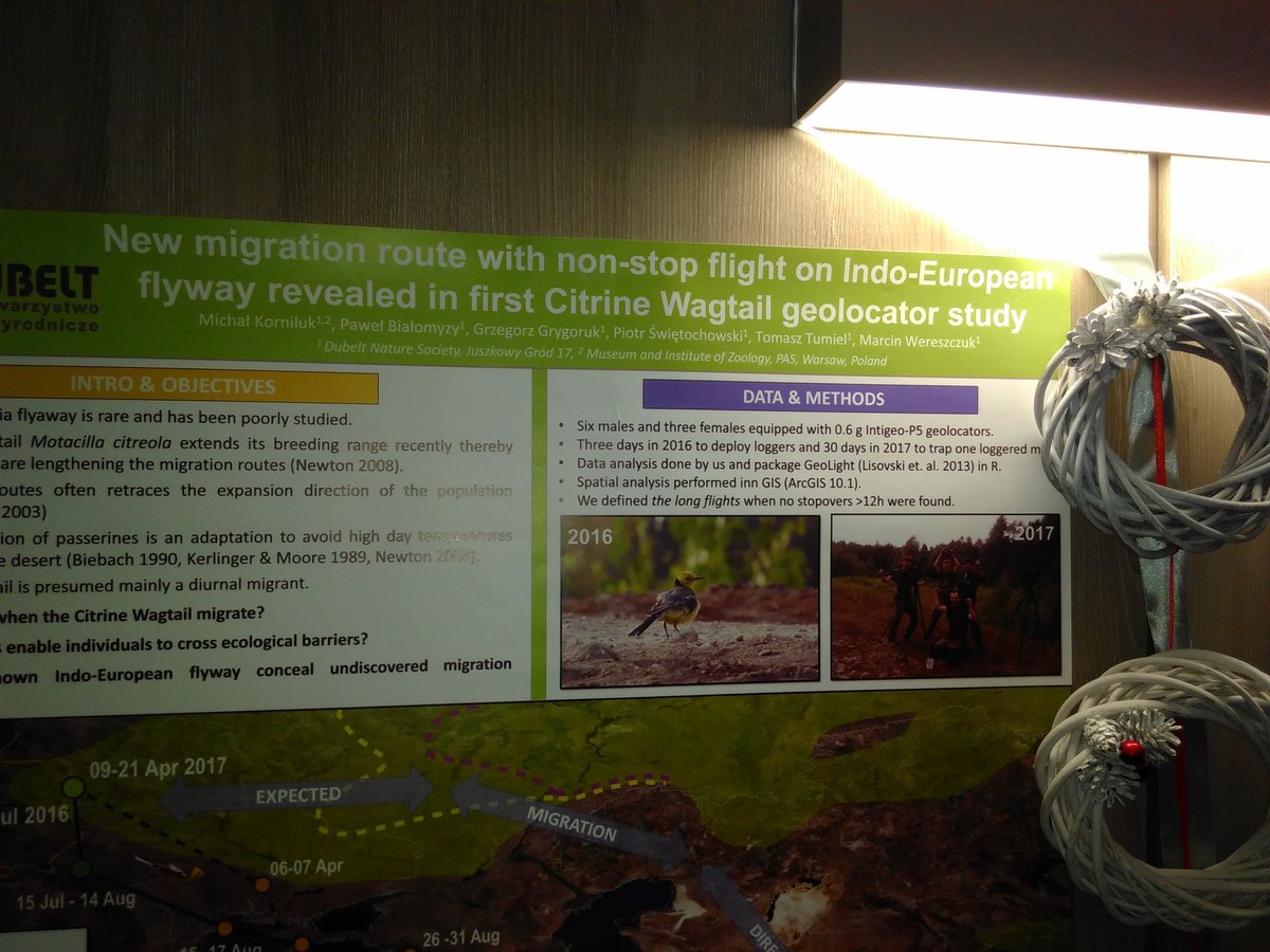 Migrant Landbirds tweet media