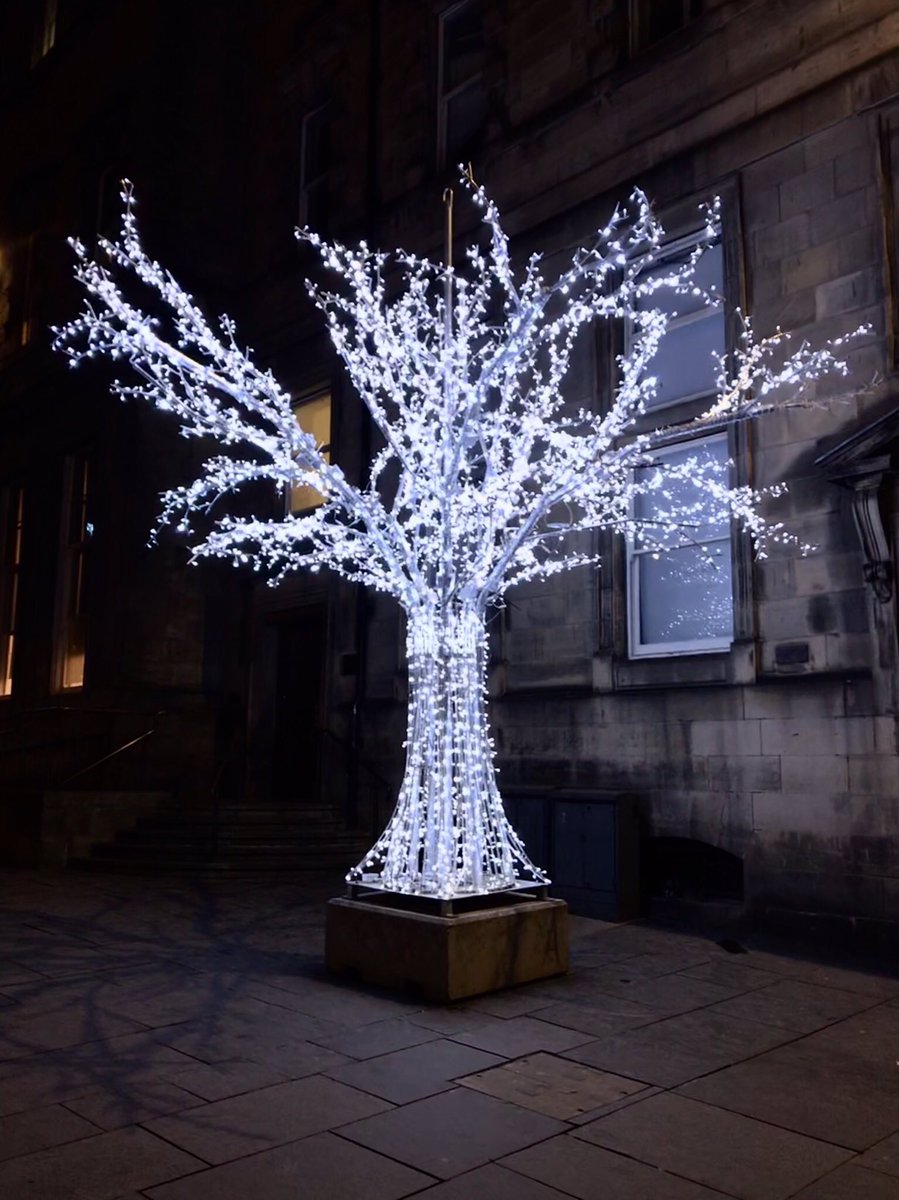 Christmas is coming 😊 #Edinburgh #Scotland #ChristmasTree #SANDEMANsTours