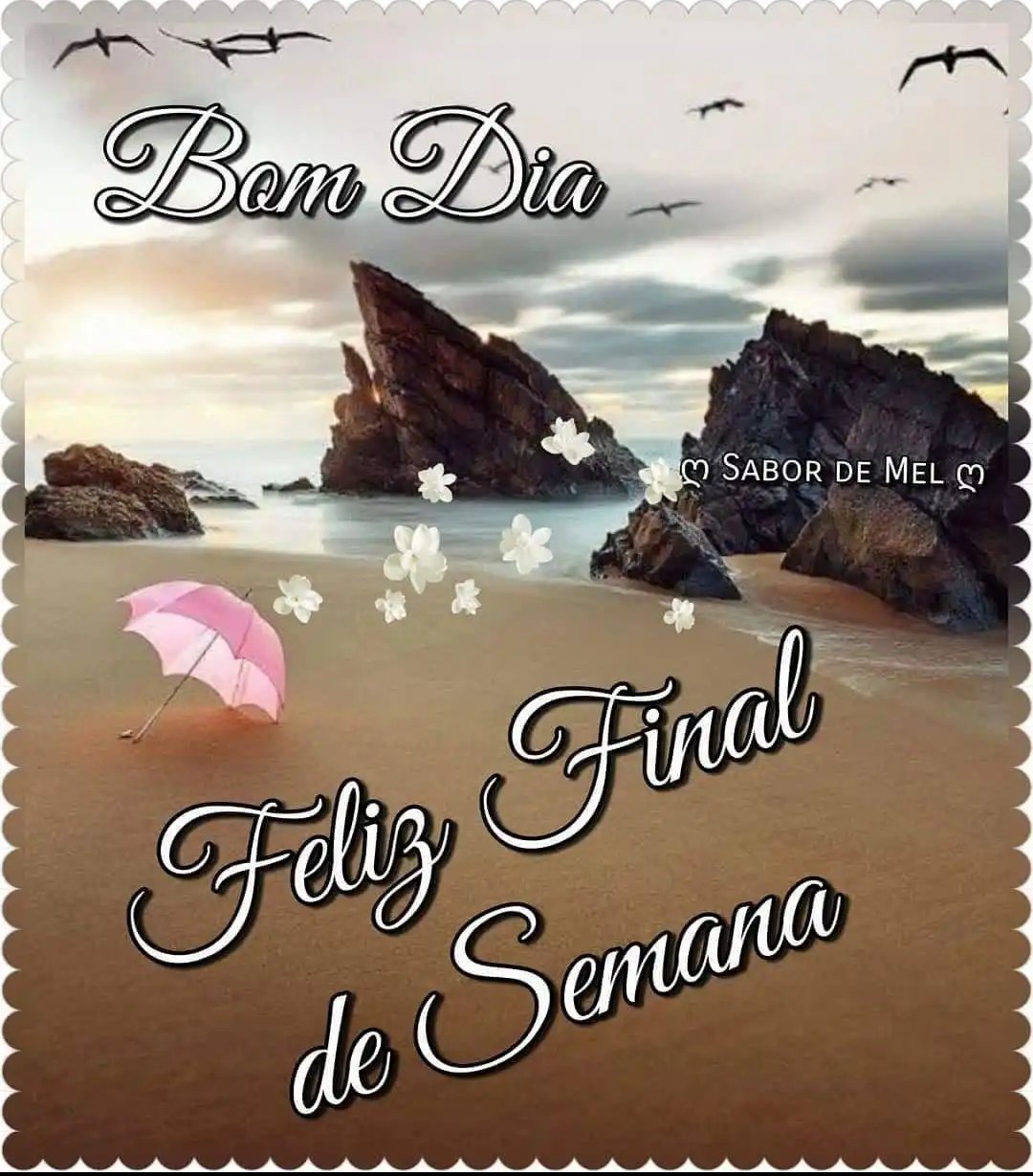 NN Produtora - Bom dia!!!! Ótimo final de semana!!! #pombo