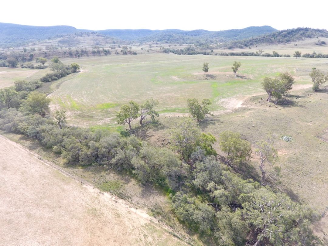 Farmbuy Com Upper Horton Nsw 3 923 Acres Mix Of Level River Flats Along Horton River Running Up To Sloping Grazing And A Section Of Heavier Timbered Hill Grazing Carrying Capacity