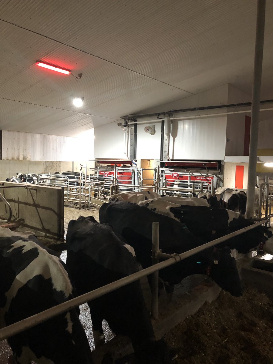 Helping the family with A5 robot startup.  <a href="/DairyRobot/">Lely North America</a>