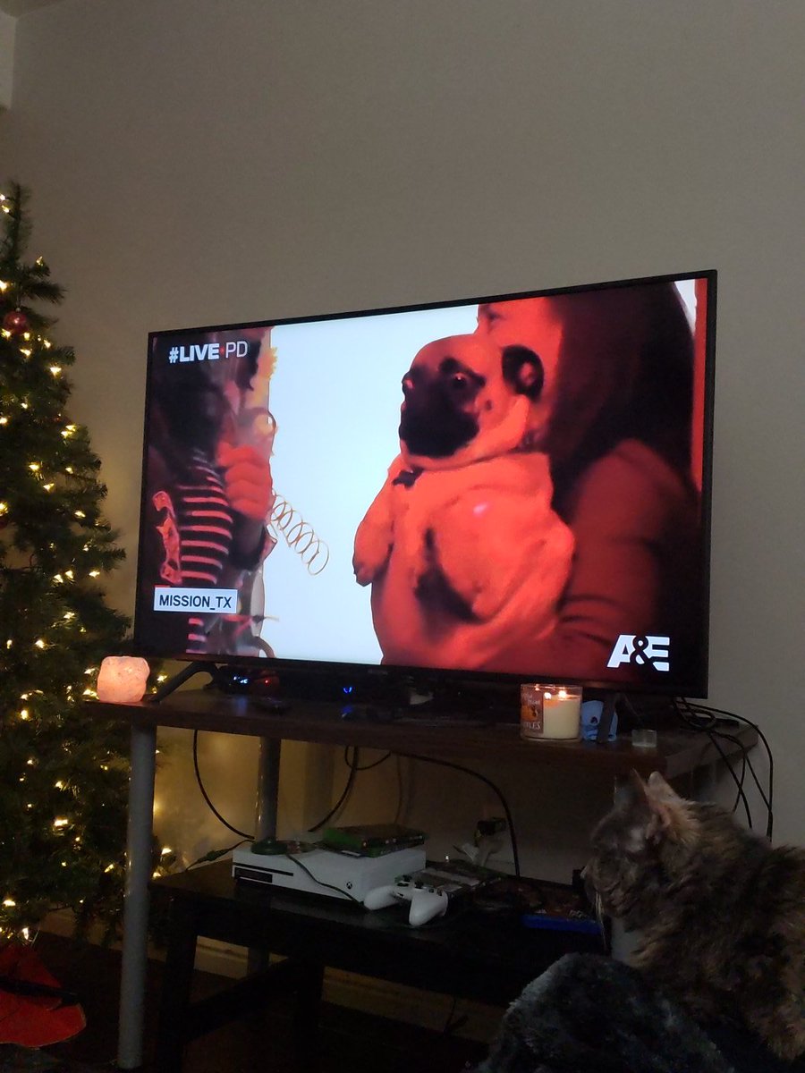 KaytinaKitty's tweet photo. OMG THIS DOG
Frankie: "WHO CALLED THE POH POH? oh sh*t did they find my weed? I KNOW MY RIGHTS"
#LivePD #LivePDNation #dogPD https://t.co/k9jG9Uuj8K