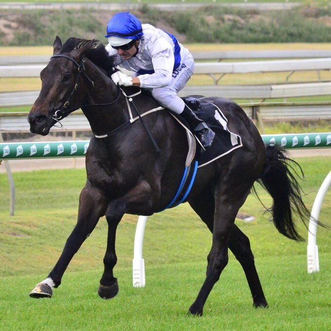 Remains unbeaten & smashes the ⏱ again. ZOUSTYLE “Something very special” according to trainer Tony Gollan. A truly brilliant display of speed in the Listed Gold Edition Stakes 1200m. 

*Another new stakeswinner for ZOUSTAR who is shuttling to @TweenhillsHub in 2019* 🔥🔥