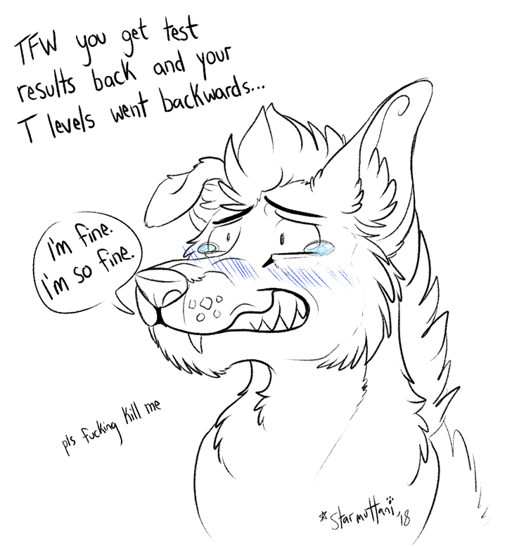 Bigteethyeen's tweet photo. it's fuckin 12:22 in the morning and I'm still reelin' from seeing my test results an hour ago. I... might be a little upset. 🙂🔫 #TransgenderProblems https://t.co/7YS4SDSzf1