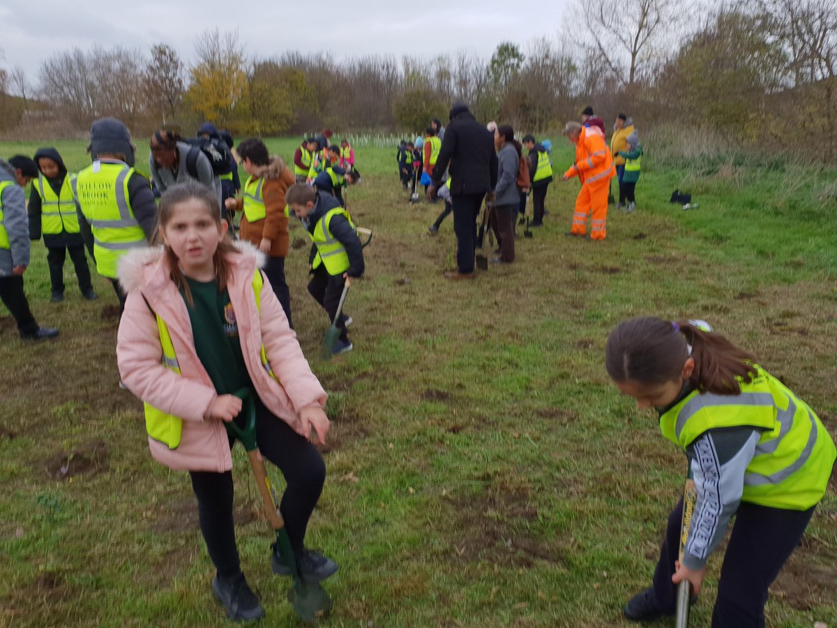 Thank you @RHSSchools for the #RHSSchoolsGardeningAwards Level 2 Certificate. Award monochromed to prevent copying. <a href="/WillowBrookGST/">Willow Brook Primary</a> were recently planting saplings in their local park in collaboration with <a href="/wfcouncil/">Waltham Forest Council</a> and <a href="/WoodlandTrust/">WoodlandTrust</a>