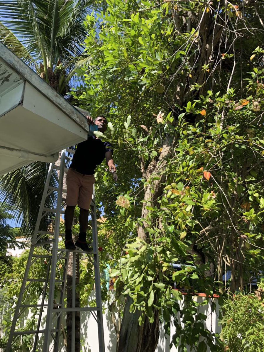 MoHmv's tweet photo. “Madhiri nathaalumuga namoona muassasaa akah vun”
#AlifAlif #Thoddoo Health Center conducts special clean up to eliminate mosquito breeding sites for #Dengue prevention #Nationwide #HealthFacility #Cleanup @HPA_MV https://t.co/Qd0bRmY4kc