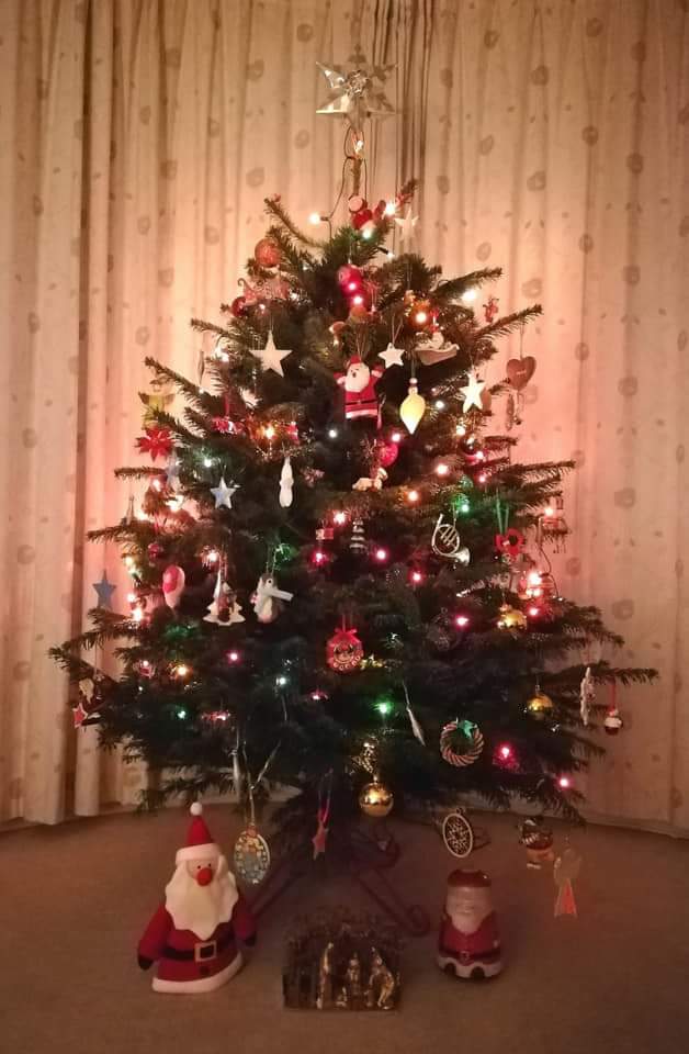 Open today from 10 #freshlycut #xmas #trees