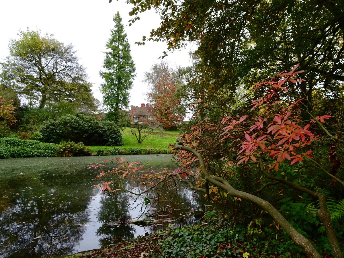 BoundaryWay's tweet photo. #Wolverhamptonarts advent calendar day 15 - @NTWightwick is an excellent example of an #artsandcrafts interior &amp; a beautiful Victorian home inspired by the #aestheticmovement https://t.co/5BzcJIvT6J - photographs here in their garden this Autumn https://t.co/X9yrYk1bcN