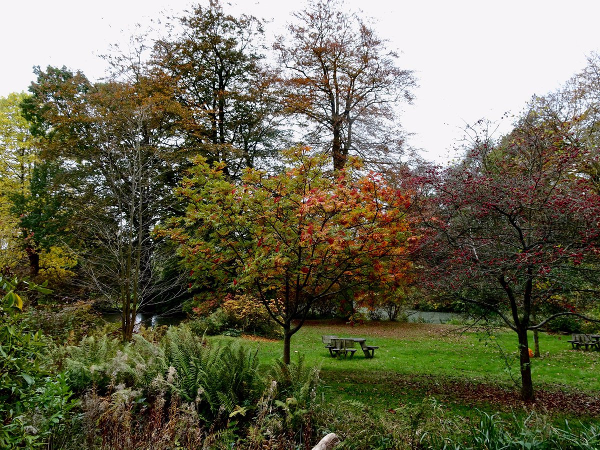 BoundaryWay's tweet photo. #Wolverhamptonarts advent calendar day 15 - @NTWightwick is an excellent example of an #artsandcrafts interior &amp; a beautiful Victorian home inspired by the #aestheticmovement https://t.co/5BzcJIvT6J - photographs here in their garden this Autumn https://t.co/X9yrYk1bcN
