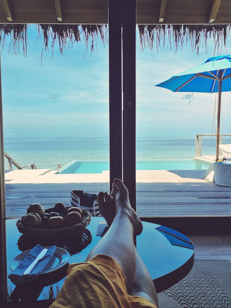 NomadicChica's tweet photo. Greetings directly from paradise!
๐ข๐ด๐บ๐๐ฆ๐ฆ๐ฆ๐ก๐ ๐ด๐
I'm on a real holiday & honeymoon in the #Maldives babe!!!!! Love my life and my hubby!
#12DaysofLove #ChristmasIsComing #HolidaySpirit https://t.co/gNQ2FGu1D5