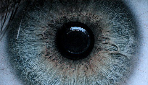 Archillect (@archillect) on Twitter photo 