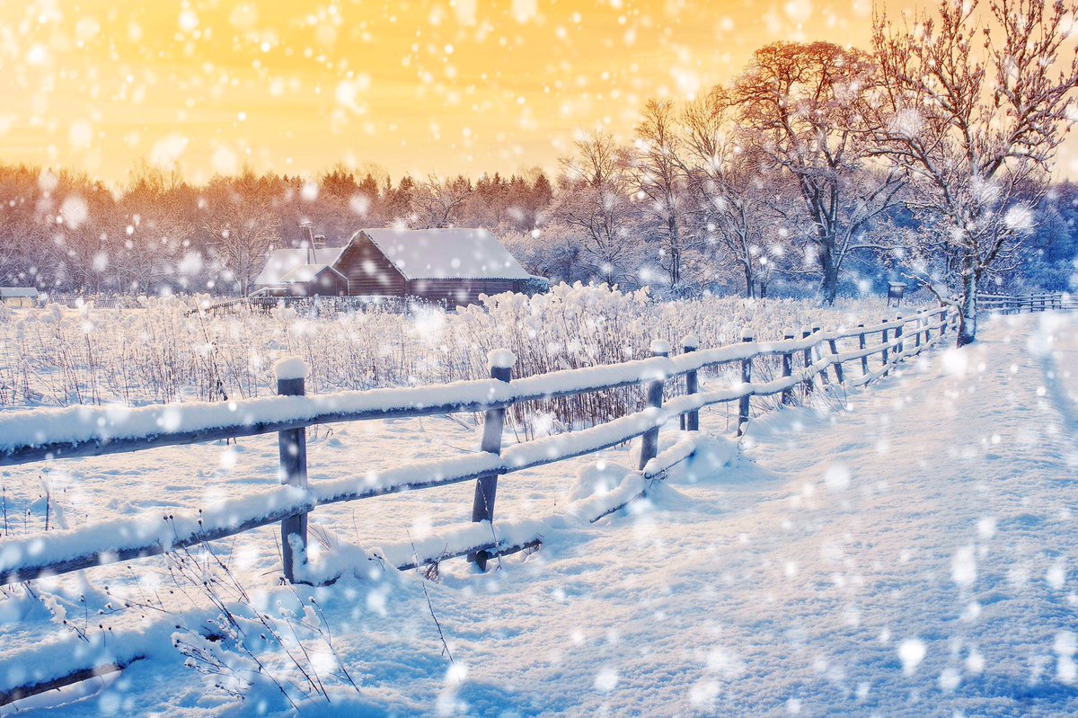 A_AMilne's tweet image. "The wind had dropped, and the snow, tired of rushing round in circles trying to catch itself up, now fluttered gently down until it found a place on which to rest, and sometimes the place was Pooh's nose and sometimes it wasn't."~A.A.Milne #SaturdayMotivation #snow #winter