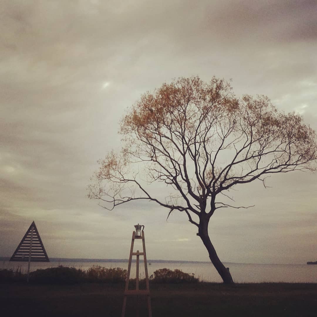 1WindowGallery's tweet photo. 🌳~ #igFilterStudy #Rise #Moka ~ 1⃣5⃣ Dec 2018 
#1WindowGallery @instagram &amp; #Mellyrn @ellohype 
https://t.co/hFzuZNZ6Cx 

📷 https://t.co/sxF1XBcdj7 
#LetsGuide #Jönköping #Huskvarna #Småland #Götaland #Sweden  #1Tree #TreeArt #PhotoArt #Tree https://t.co/B5AyHE7Jf6