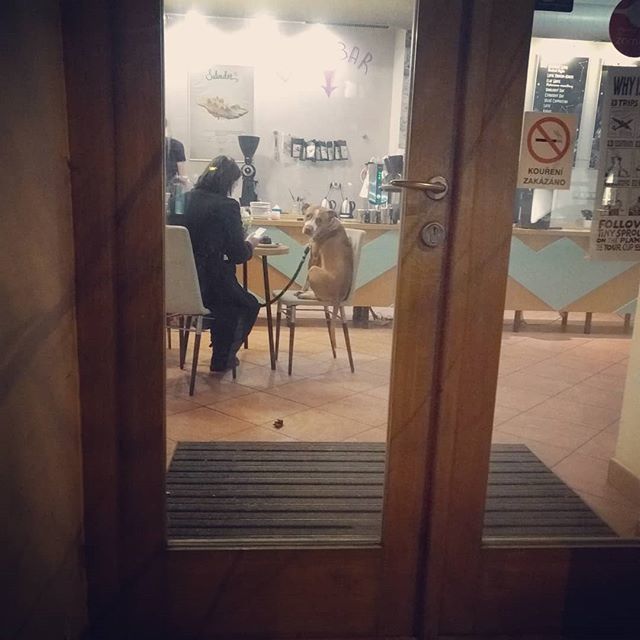 oryoruk's tweet photo. #datenight https://t.co/HLr85D2FPA https://t.co/ctvVdKDrOv