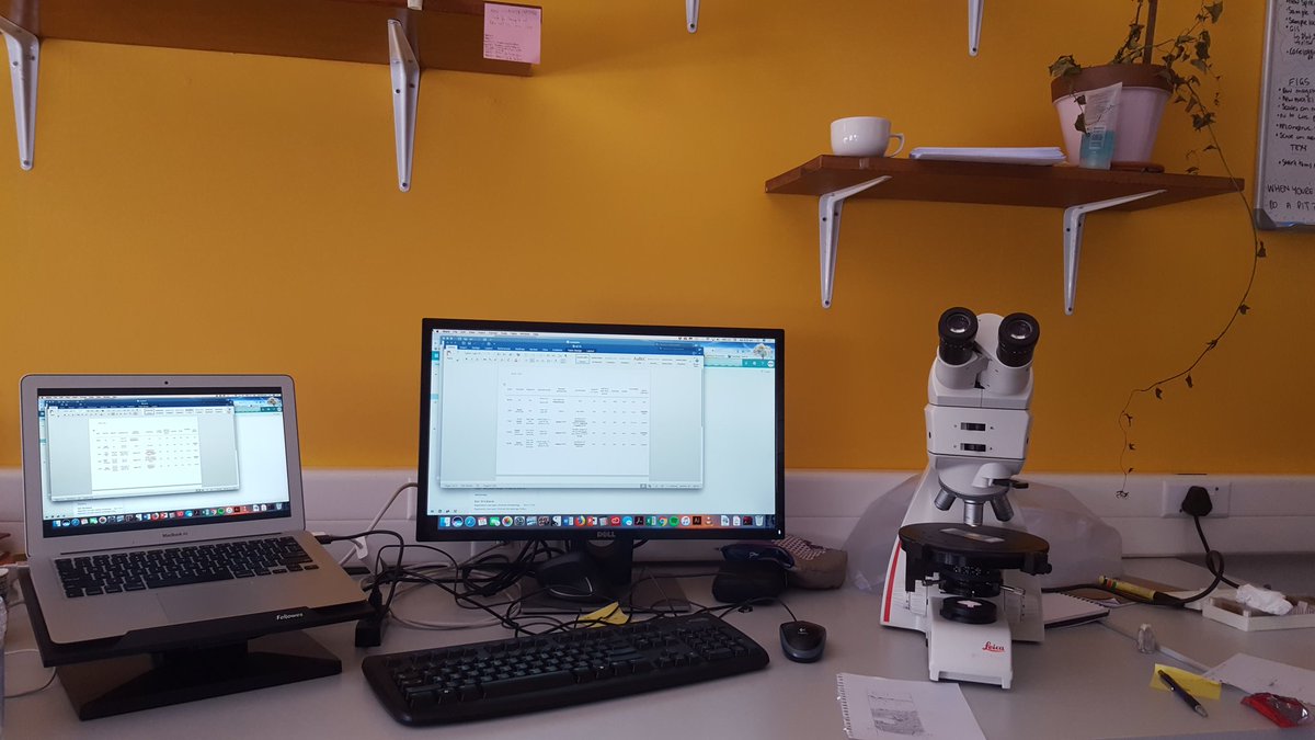 speleofriends's tweet photo. After 4 weeks away from my #PhD helping at #asap2018 I'm back at it finishing the last thin sections for my project #phdweekend https://t.co/FDLQaIMbla