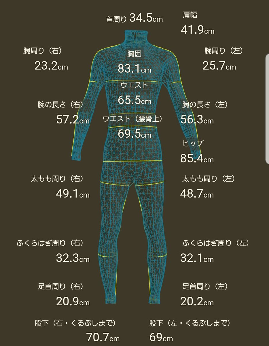 イメージカタログ 立派な 男性 太もも 平均