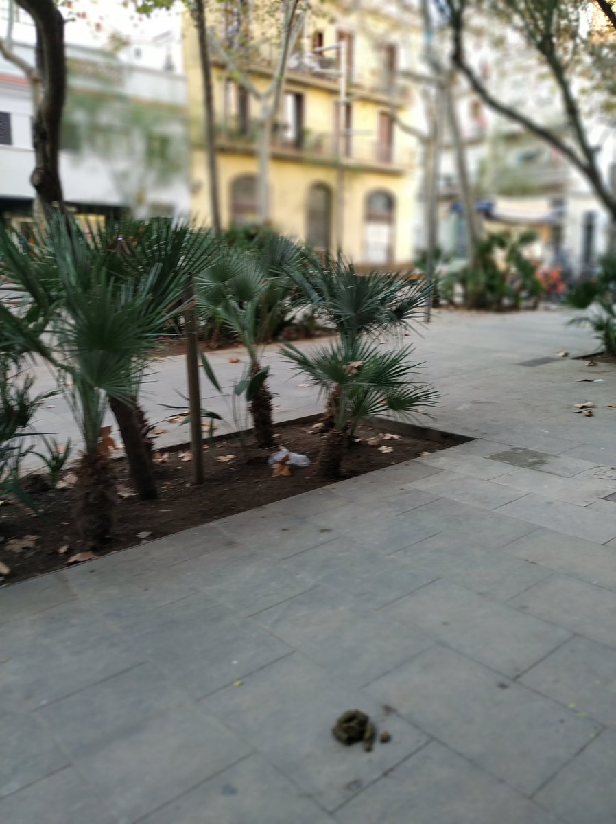 CMenjibar's tweet photo. @caquesdelpoble1 De bon matí, ens dóna la benvinguda la tifa de la plaça Santa Madrona. https://t.co/hgJQXUSGGV