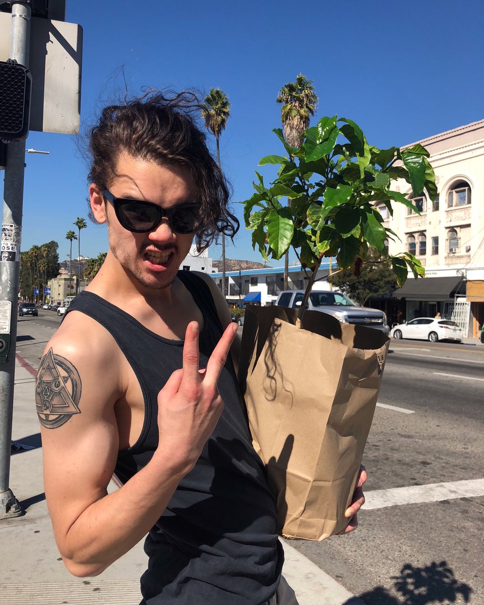 AngieLafranchi's tweet photo. We bought a coffee plant 😊🌱 #stevesthearabicacoffeeplant https://t.co/vsLQ7dnqVE