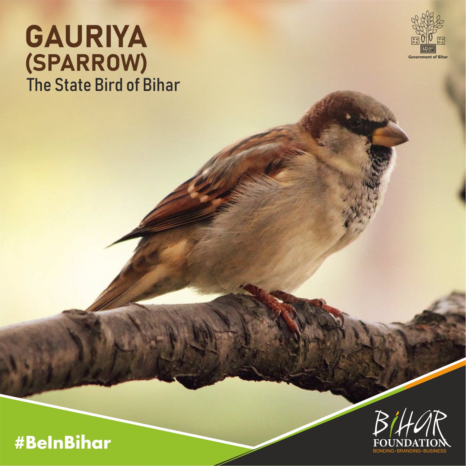 Bihar Foundation on Twitter: Bihar Foundation on Twitter: