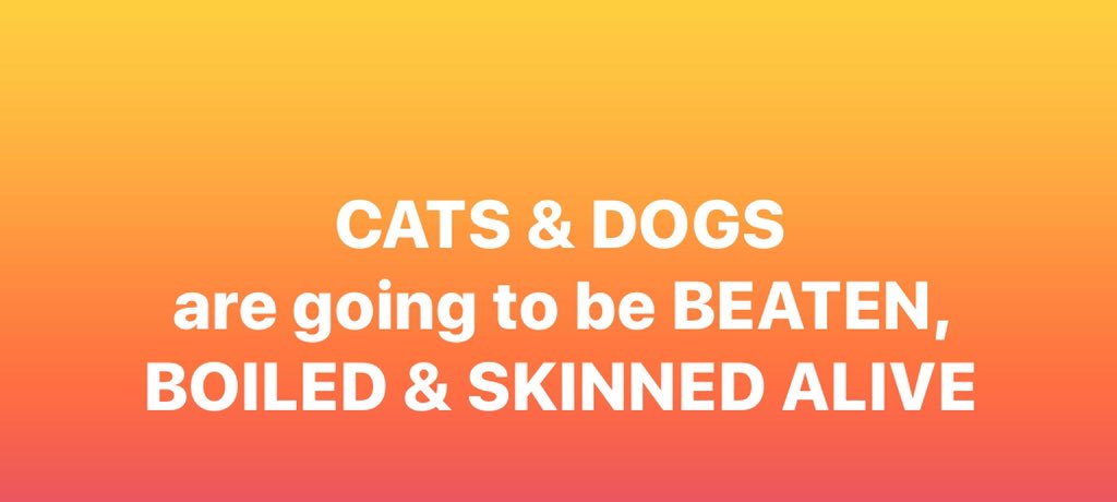 rissalipstick's tweet image. 