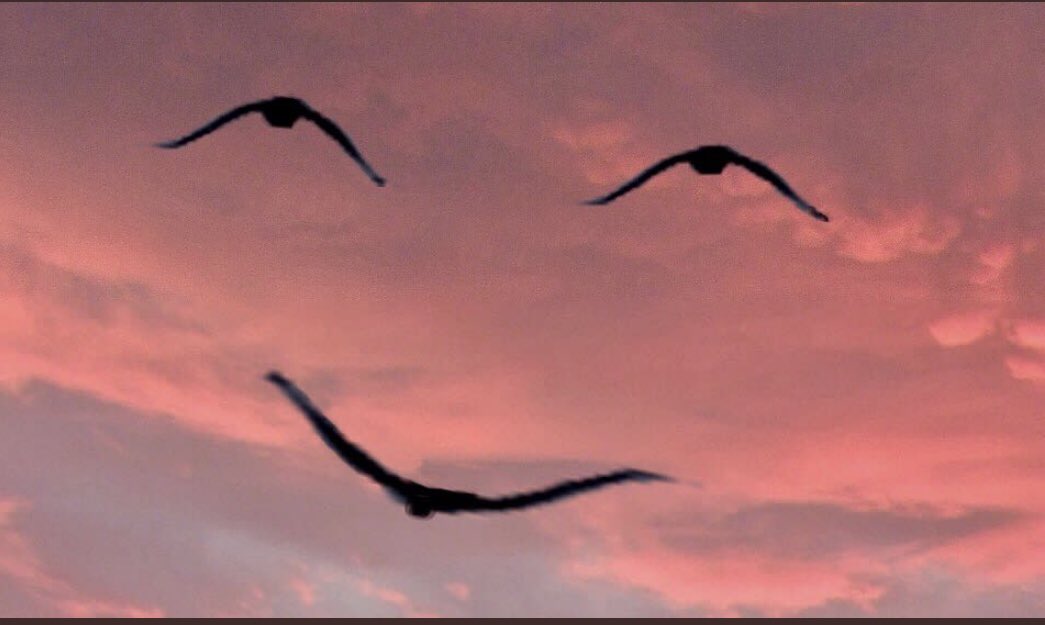 Dr. Mark Rowe (@DrMarkRowe) on Twitter photo 2018-12-15 22:49:30 These are choices : Expressing Gratitude. Kindness & Compassion. Giving back. Forgiveness. Learning. Integrity. Words you speak. Habits you make. Selfcare. Fulfillment. The choices you make really do matter! πβ€οΈππ¦ #SaturdayMotivation #SaturdayMorning #ChooseWisely These are choices : Expressing Gratitude. Kindness & Compassion. Giving back. Forgiveness. Learning. Integrity. Words you speak. Habits you make. Selfcare. Fulfillment. The choices you make really do matter! πβ€οΈππ¦ #SaturdayMotivation #SaturdayMorning #ChooseWisely