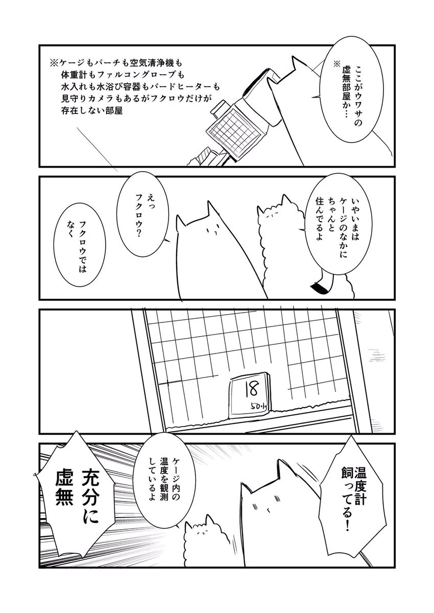 フクロウは 
いない 