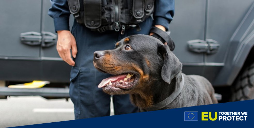 European Commission tweet media