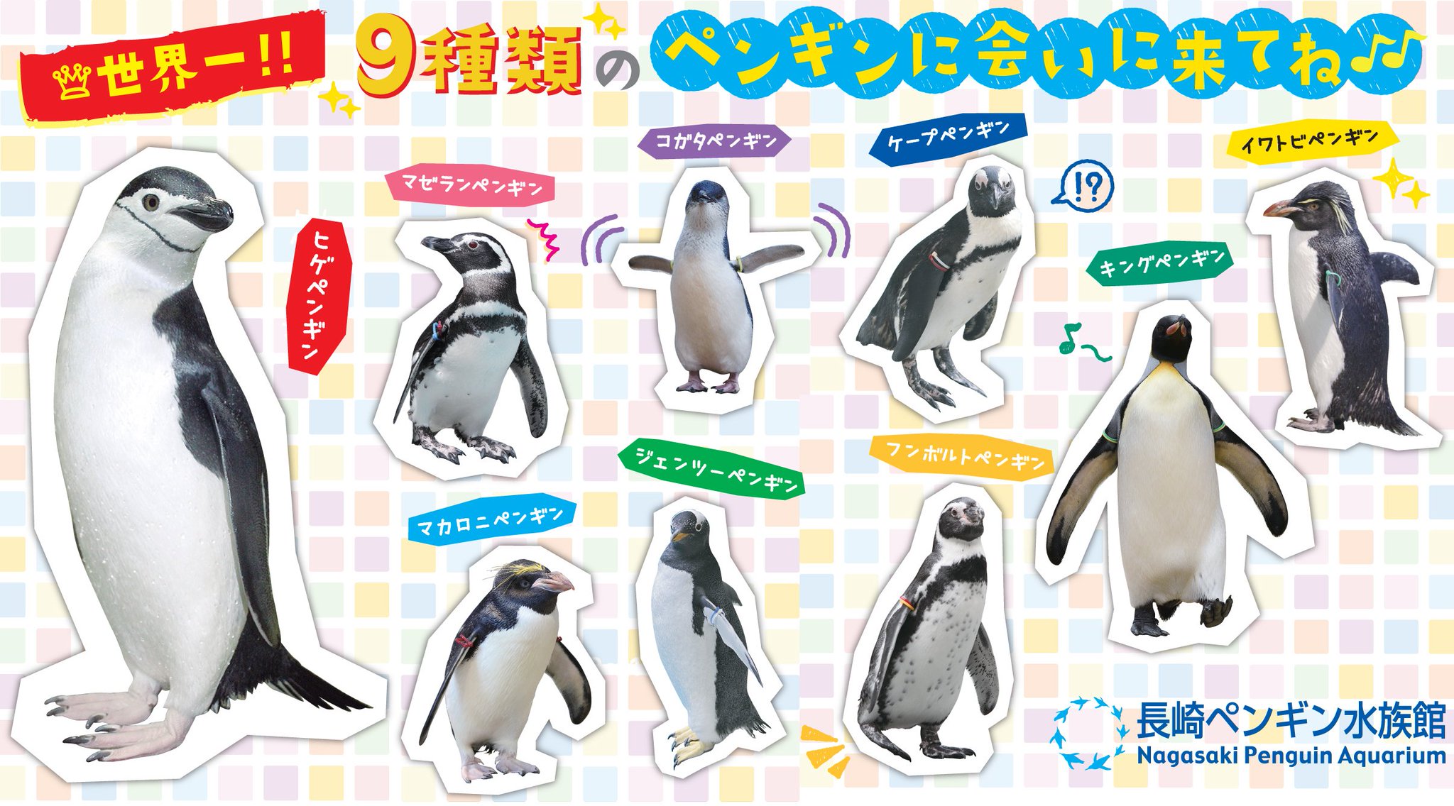 長崎ペンギン水族館【公式】 on X: 