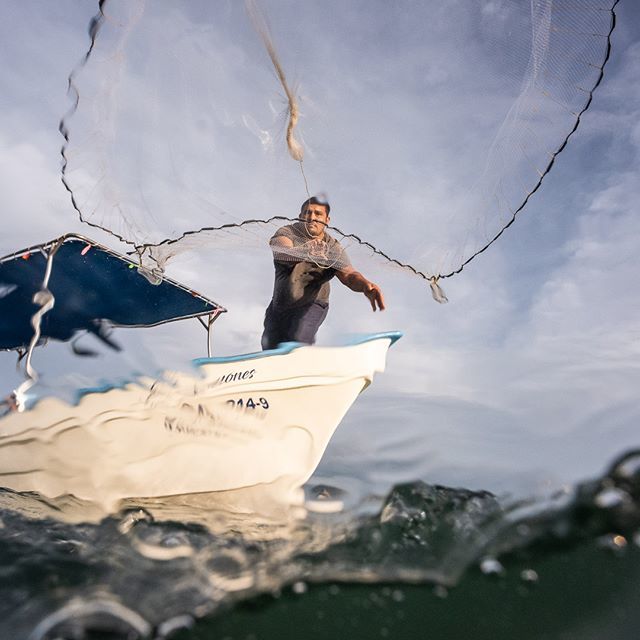 fishy_pictures's tweet image. It&apos;s all in the wrist. Moncho throws the atarraya perfectly every time. #castnet #atarraya #lapazbcs #mexico #mexicanseafood #commercialfishing #knowyourfisherman #fishinglife #eatmoreseafood #storiedfish #wildharvest #wildcaught #work #freshseafood #dayattheoffice #bait #se…