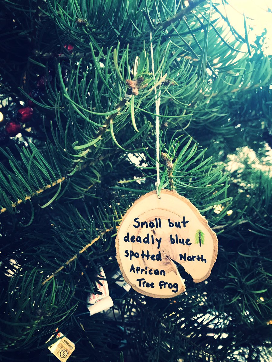 ArboretumAlix's tweet photo. A tradition we have @humberarb is that our staff have “nature names.” This year they decorated our holiday tree with their own nature name ‘tree cookies’... 🤣 #Arbart https://t.co/68dguqLhRb