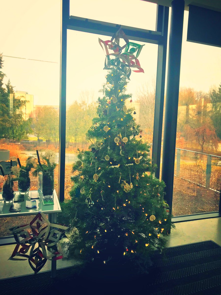 ArboretumAlix's tweet photo. A tradition we have @humberarb is that our staff have “nature names.” This year they decorated our holiday tree with their own nature name ‘tree cookies’... 🤣 #Arbart https://t.co/68dguqLhRb