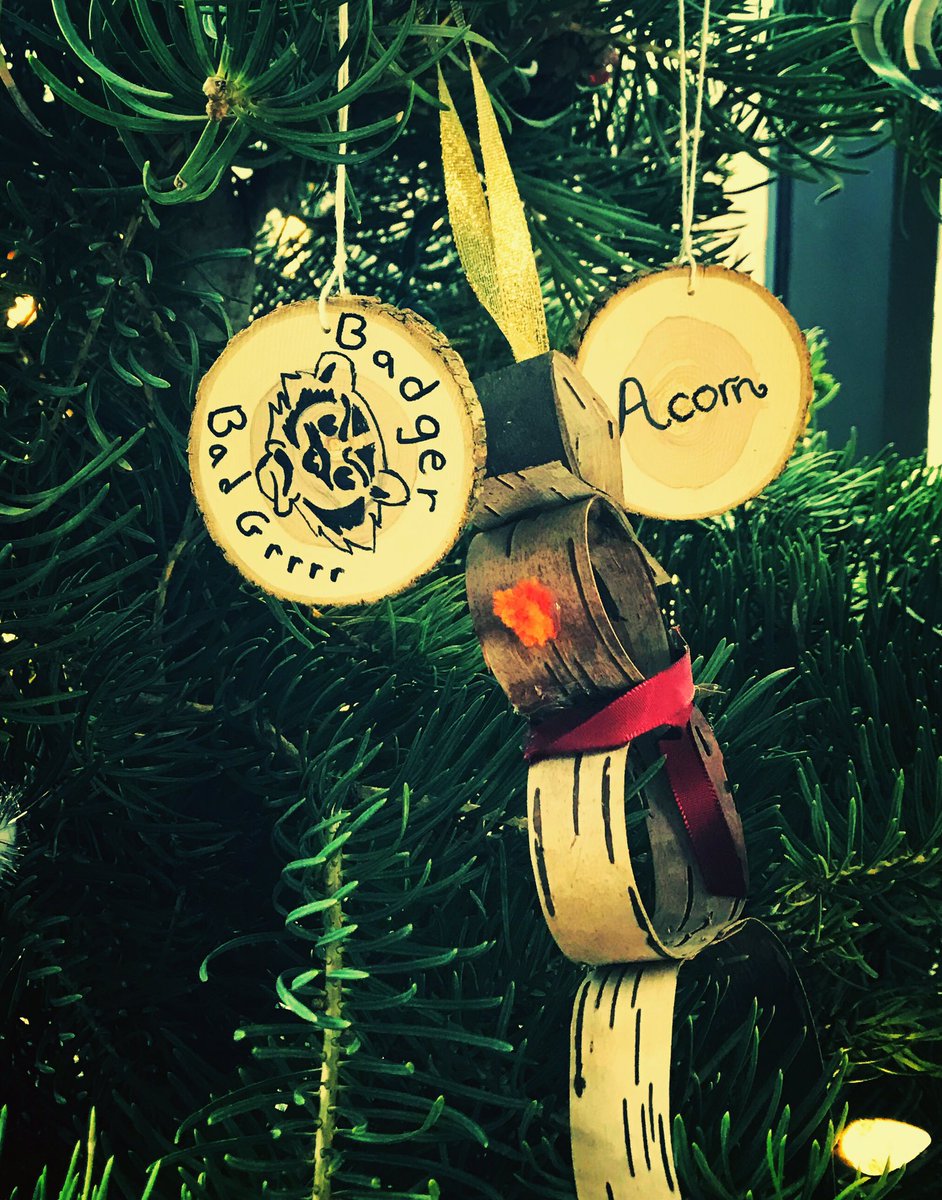 ArboretumAlix's tweet photo. A tradition we have @humberarb is that our staff have “nature names.” This year they decorated our holiday tree with their own nature name ‘tree cookies’... 🤣 #Arbart https://t.co/68dguqLhRb