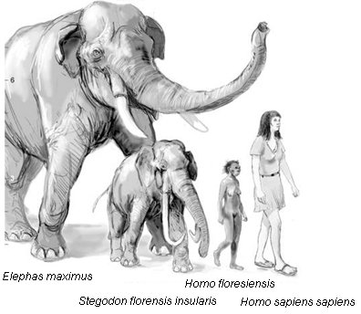 cronicasdefauna on Twitter: cronicasdefauna on Twitter: