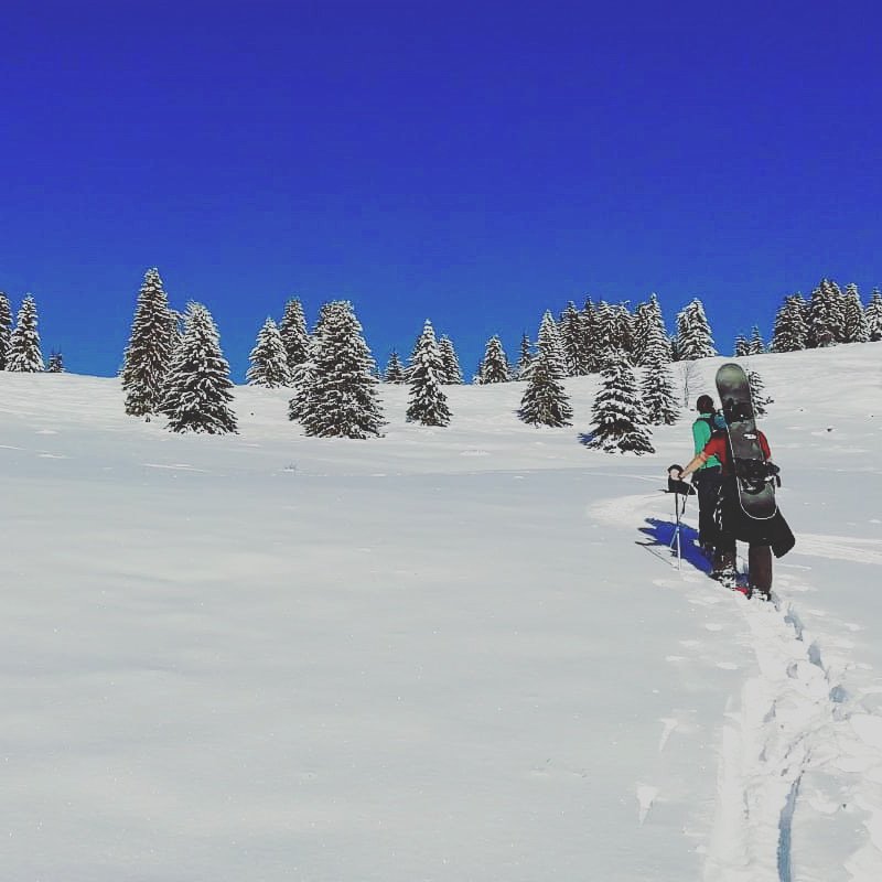 AlpExperience's tweet photo. #splitboardadventure #earningturns https://t.co/eHGfUjjCRT