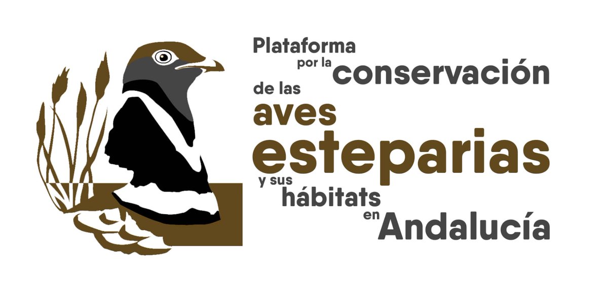 Plataforma Aves Esteparias tweet media
