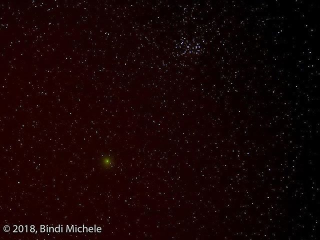 BindiMichele's tweet photo. Cometa 46p/wirtanen (e pleiadi) #photooftheday  #photoofday  #photooftheday #photographer #art_bind  #comet #cometa #cometadinatale #46pwirtanen #astrophotography #night #pleiadians #stars #sky https://t.co/j0ndlDW5xL https://t.co/NZ5VxDdd8z