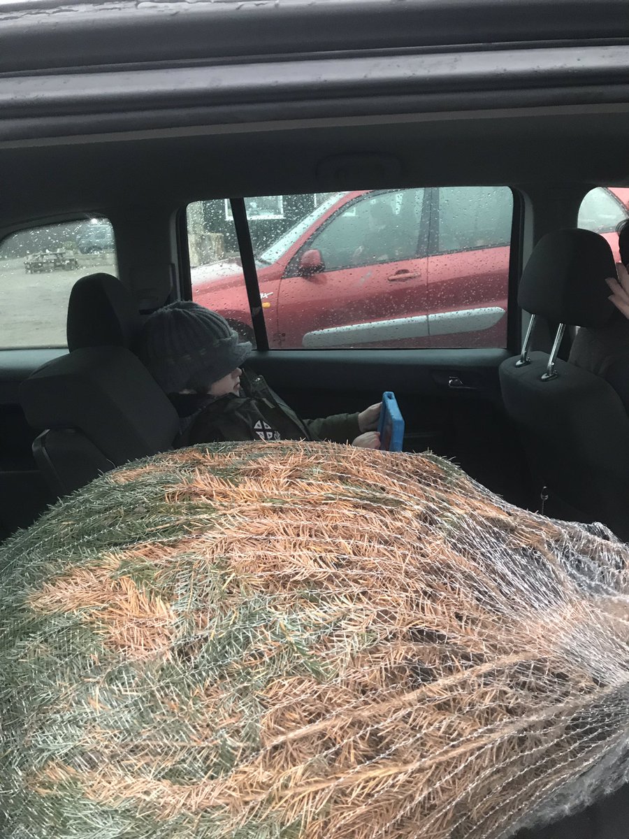 bingowings14's tweet photo. It’s Baltic out. #tree #FreezingRain #letsgethome https://t.co/dX4WEjE6Nb