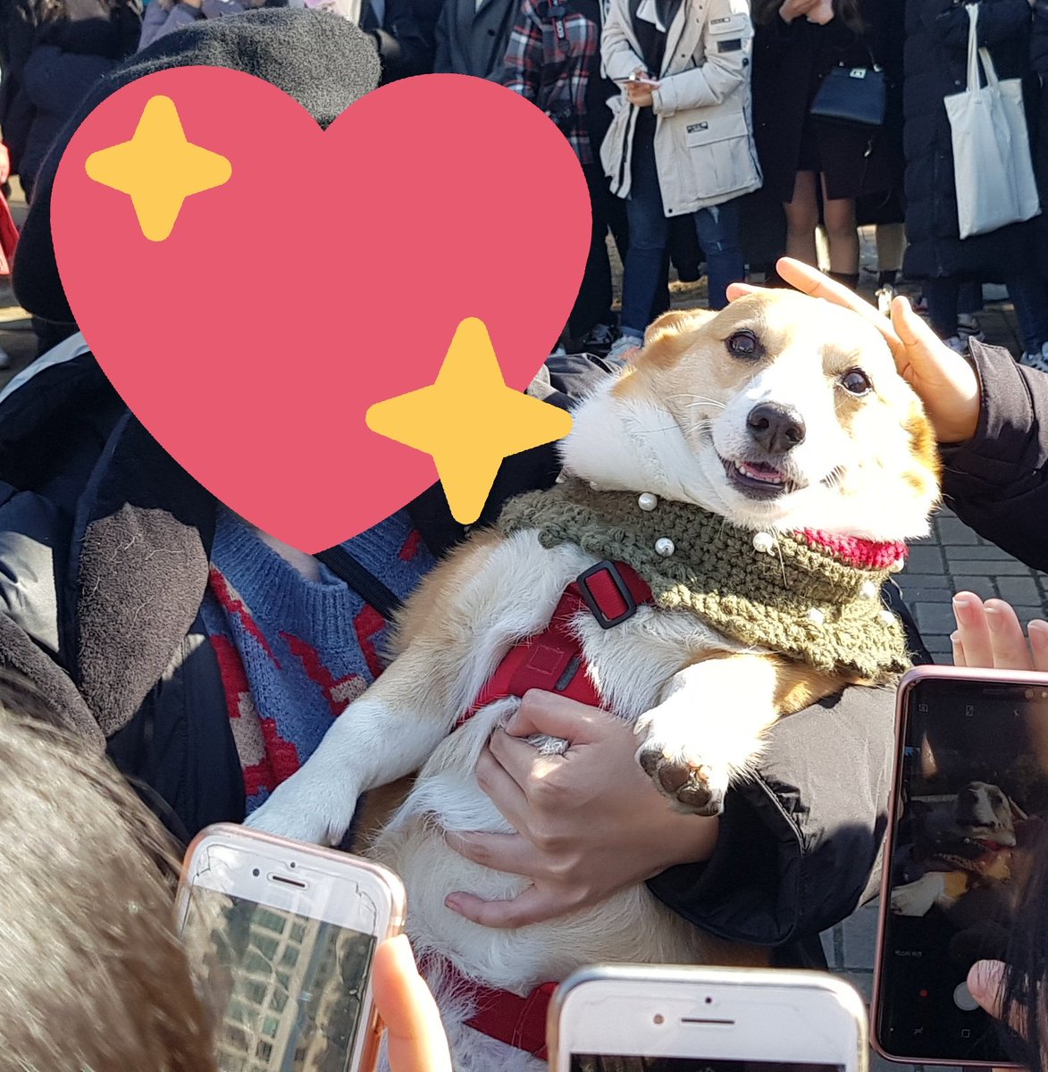 KAGOMOON🌸 tweet media