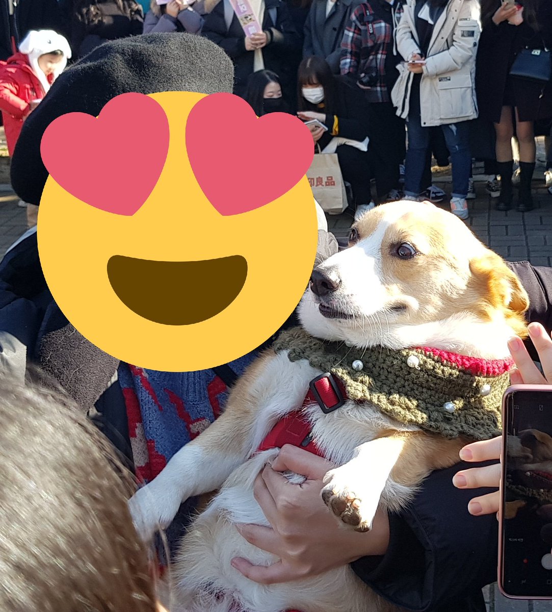 KAGOMOON🌸 tweet media