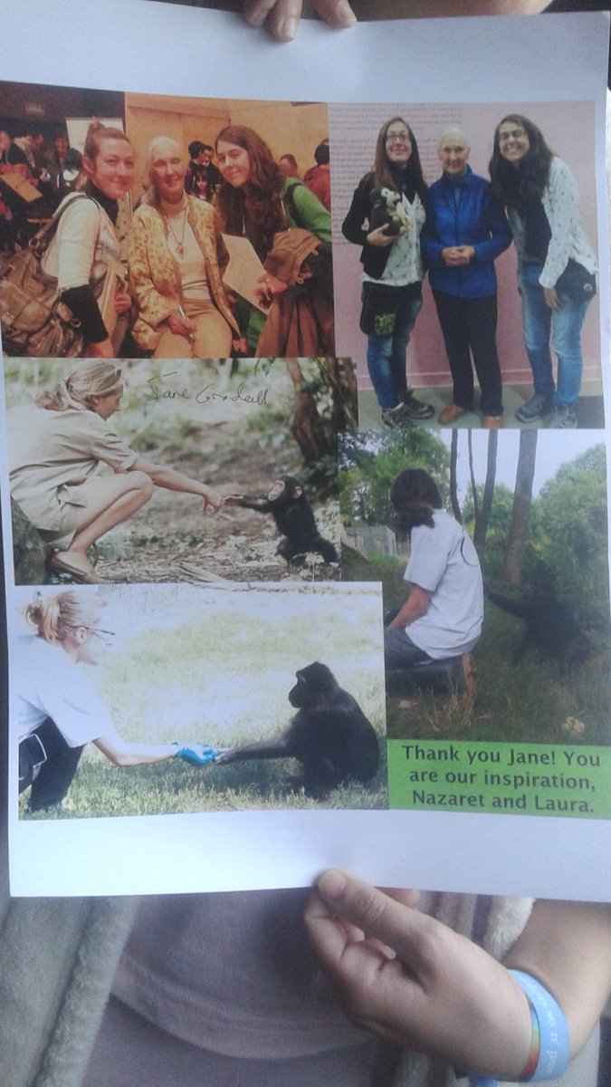 PapaverMarmoli's tweet photo. Gracias por ser la inspiración de dos jóvenes primatólogas Jane! @NazaretPapaver @JaneGoodallEspa https://t.co/gnSMo9fMC4