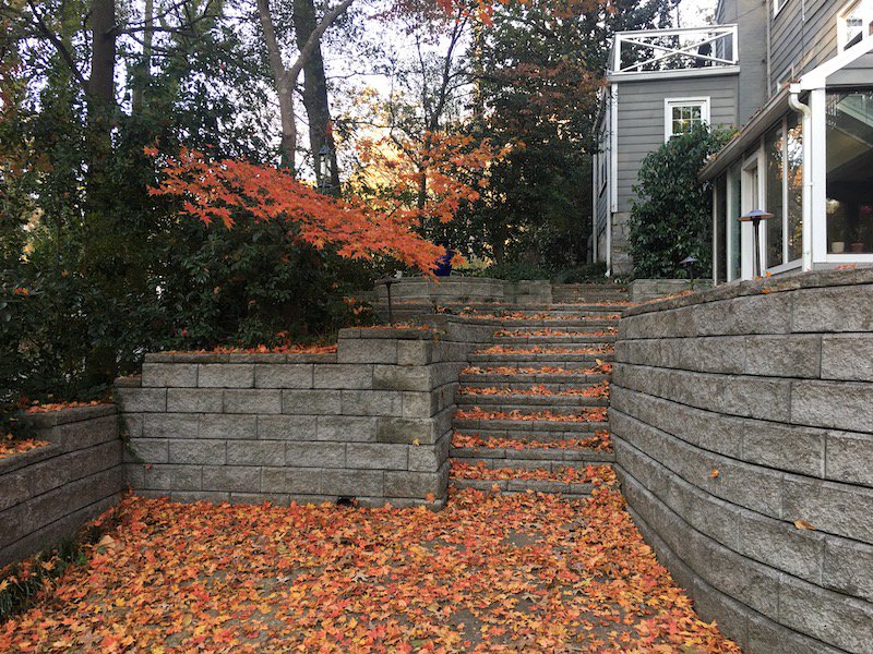 What your #energy reveals about you: catherinecarrigan.com/what-is-your-c… #medicalintuitive #medicalintuitivereading #medicalintuitivehealer #holistichealing #naturalhealing #naturalhealth #healing #yoga #qigong #taichi #vitality #chi #prana #ki #Reiki #energyhealing #handsonhealing