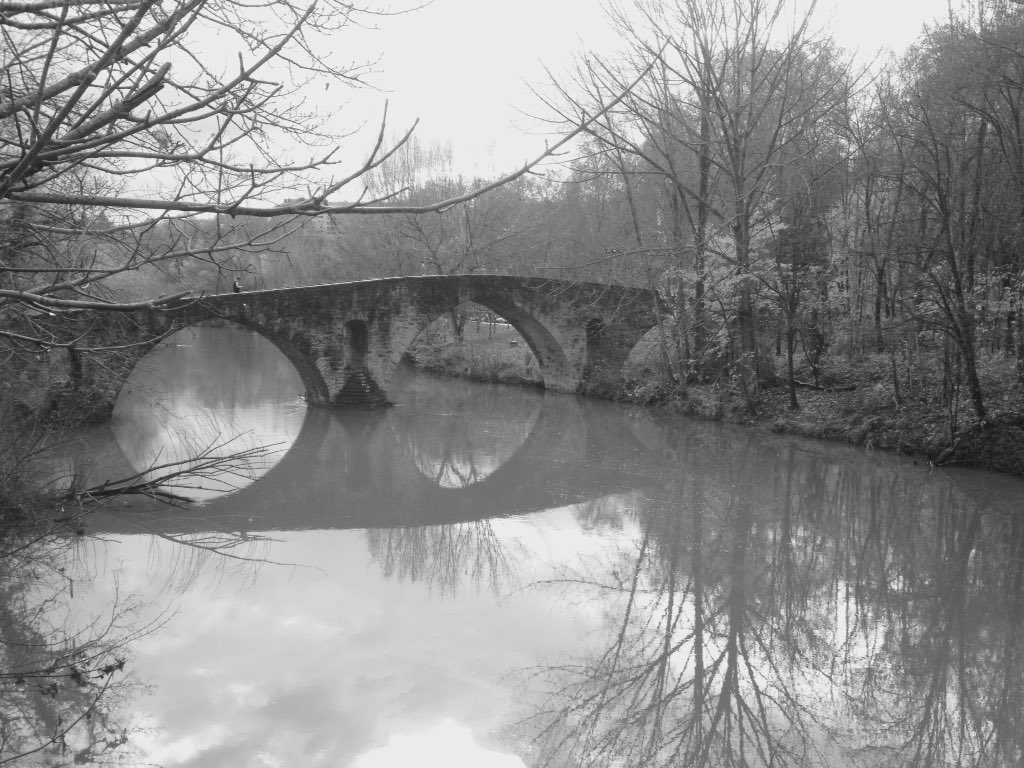 Gran participación esta mañana en el Cross Popular de la Txantrea-Txantreako Herri Krosa. Información y galería con decenas de fotos, muy pronto en nuestros espacios de #running en <a href="/DiariodeNavarra/">Diario de Navarra</a> de papel y web