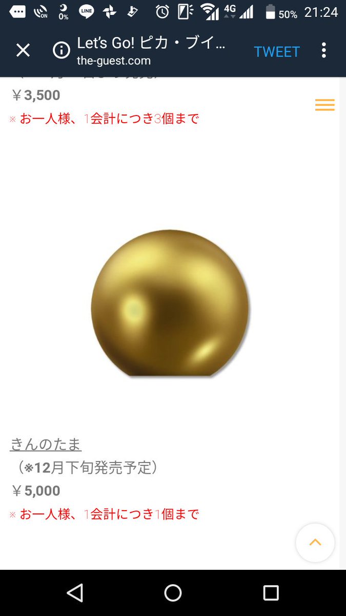 年のクリスマスの特別な衣装 きんのたまのこうちゃん Tシャツ 半袖 袖なし Guiacieneguilla Com