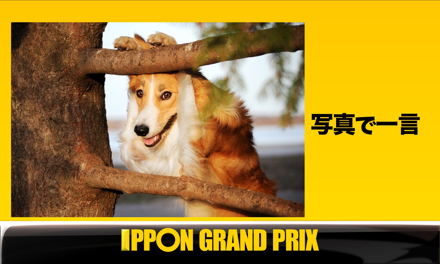 公式 Ipponグランプリ Twitter પર 写真で一言 お台場笑おう会 が選ぶ優秀回答は 池永 孝太 Ikenaga33さんの ちょ待って木にアロンアルファ塗ったやつ誰 です Ippon 公式 Ipponグランプリ Twitter પર 写真で一言 お台場笑おう会 が選ぶ優秀回答は 池永 孝太 Ikenaga33さんの ちょ待って木にアロンアルファ塗ったやつ誰 です Ippon