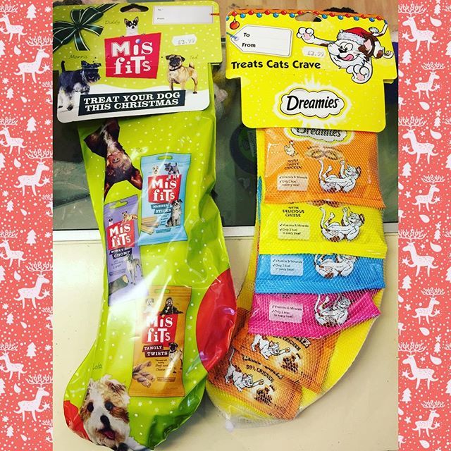 BathCDH's tweet photo. BCDH Pet Shopβs Twelve Days of Christmas, No.8 - Dog and cat treat stockings! A selection of old favourites to reward them for good behaviour throughout the year. #bcdhpetshop #twelvedaysofchristmas #dogstocking #catstockings #putasockinit #chewonthis https://t.co/Q97HqEhE8l https://t.co/U39jIdKcdd